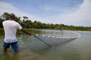 Imagem de Aquapesquisa - Diagnóstico de instituições ofertantes e demandantes de tecnologias em pesca e aquicultura