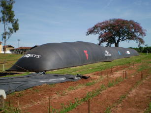 Imagem de Desenvolvimento de biodigestores anaeróbios para tratamento de resíduos agrícolas, geração de energia e uso do efluente na agricultura