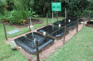 Imagem de Disseminação, ampliação e aplicabilidade da Fossa Séptica Biodigestora como tecnologia social de saneamento básico rural