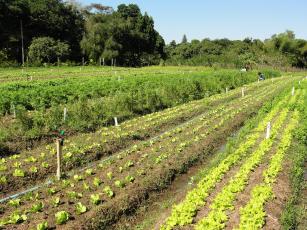 Imagem de Biofábrica-modelo para fabricação de bioinsumos e processos agropecuários especialmente para a agricultura de base ecológica