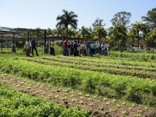 Imagem de Conhecimentos e tecnologias para sistemas produtivos em agroecologia e produção orgânica: ações para a sistematização de informações e capacitação de agentes multiplicadores