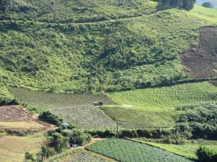 Imagem de Pesquisa e desenvolvimento de tecnologias para fomento à cadeia do lúpulo e incentivo à agricultura familiar nos ambientes de montanha da região serrana fluminense