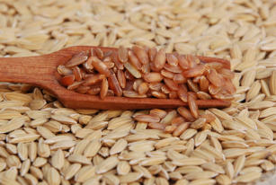 Image of Arroz BRS 902