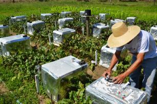 Imagem de Quantificação de fluxos de gases de efeito estufa em sistemas de produção agrícola na região Sudeste do país – bases para modelagem de gases de efeito estufa na agricultura