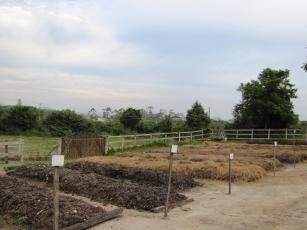 Imagem de Fabricação de composto anaeróbico de farelos (Bokashi sólido)