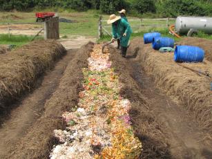 Image of Fabricação de composto orgânico