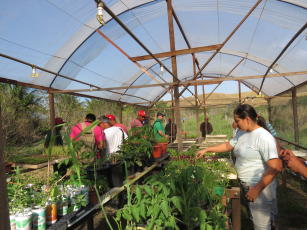 Imagem de Ambientes de interação agroecológica e intercâmbio de saberes: expressões da agricultura familiar no Estado do Rio de Janeiro