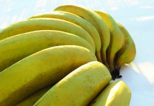 Image of BRS Platina banana production system