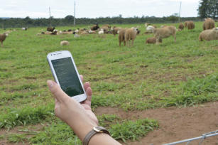 Image of AgroTag Pará