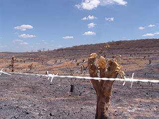 Foto: Marcelino Ribeiro