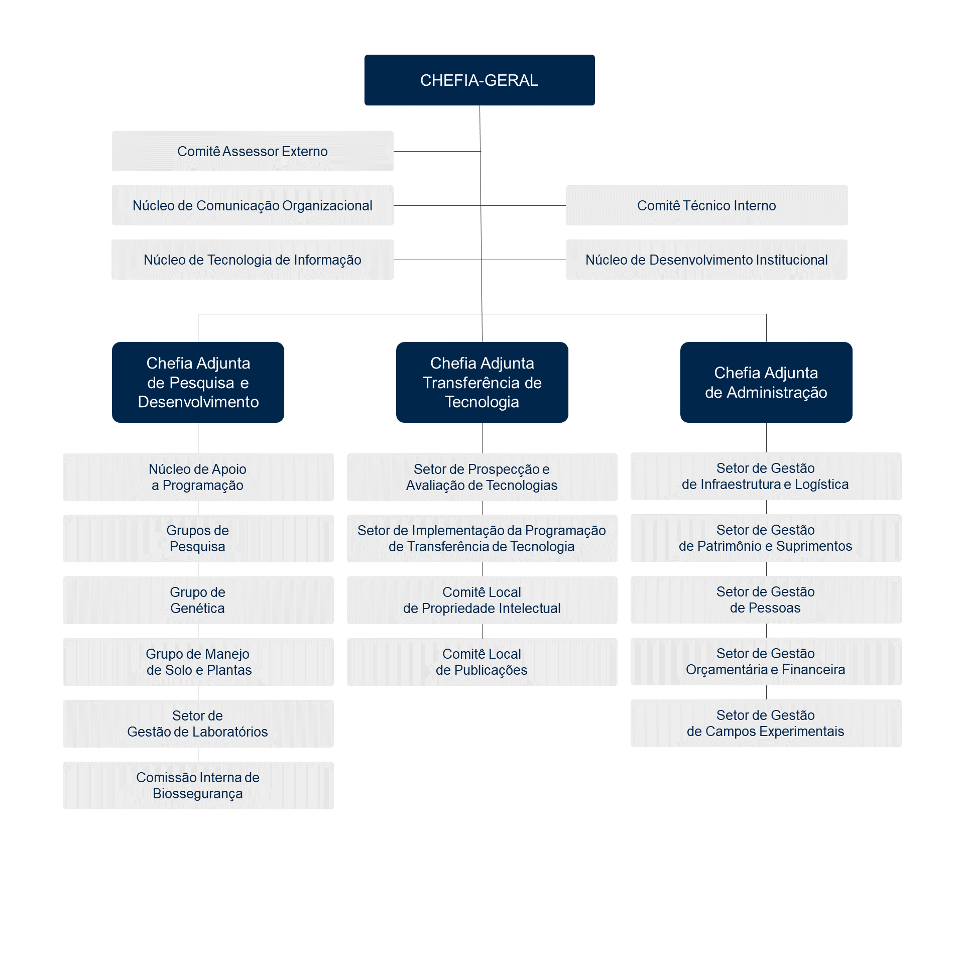 Organograma 2023