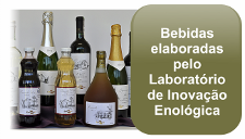 Bebidas elaboradas pelo Laboratório de Inovação Enológica