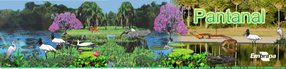 Ilustração Bioma Pantanal