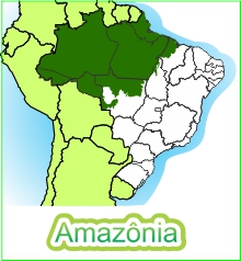 Mapa do Brasil com destaque para o Bioma Amazônia