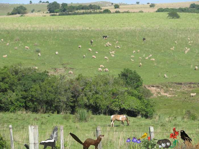 foto de Grande área de vegetação do bioma Pampa, com gado, cavalos, e desenhos de alguns animais e vegetação do mesmo bioma.