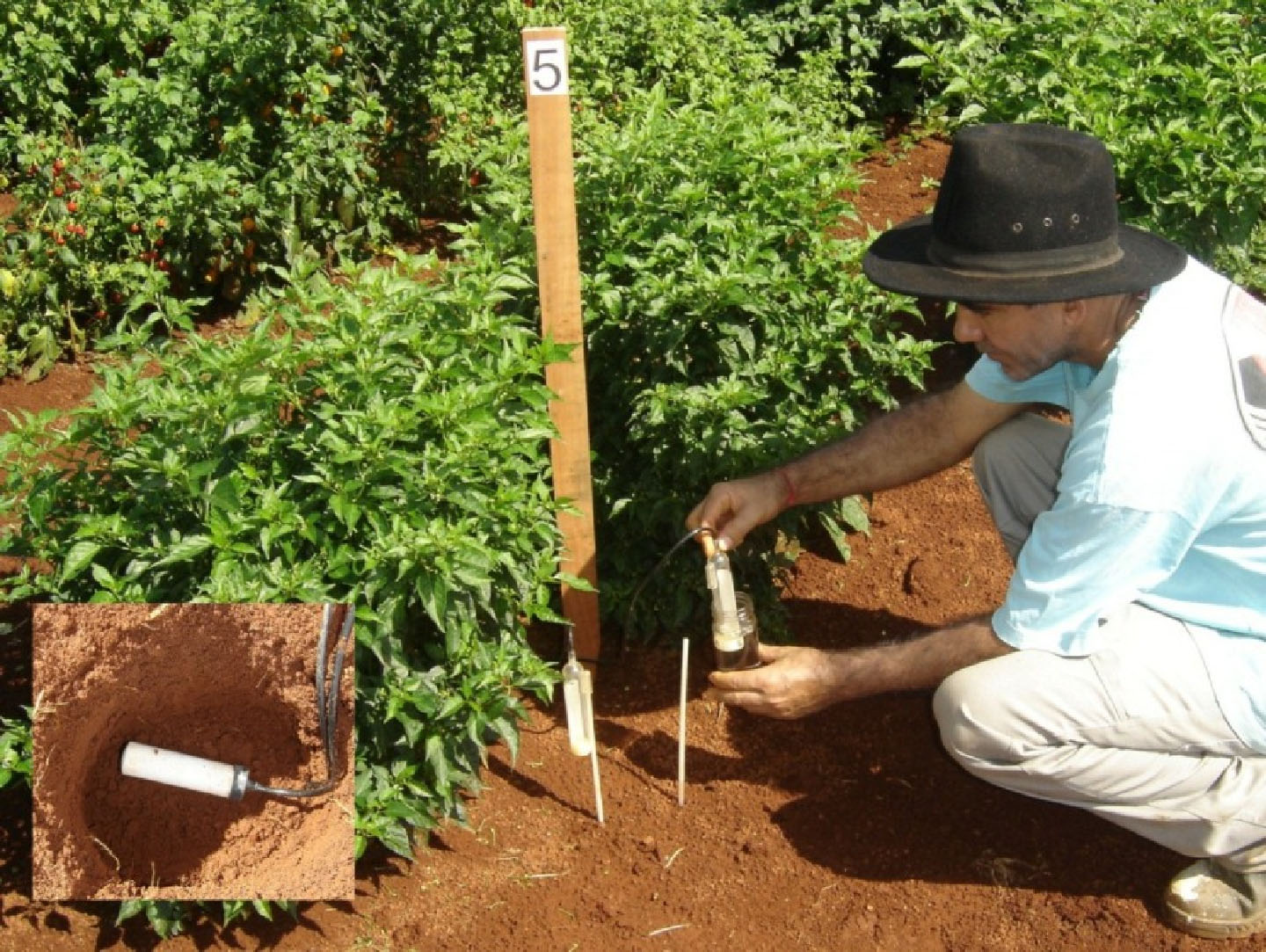 Sensores Irrigas® para manejo da água de irrigação. 