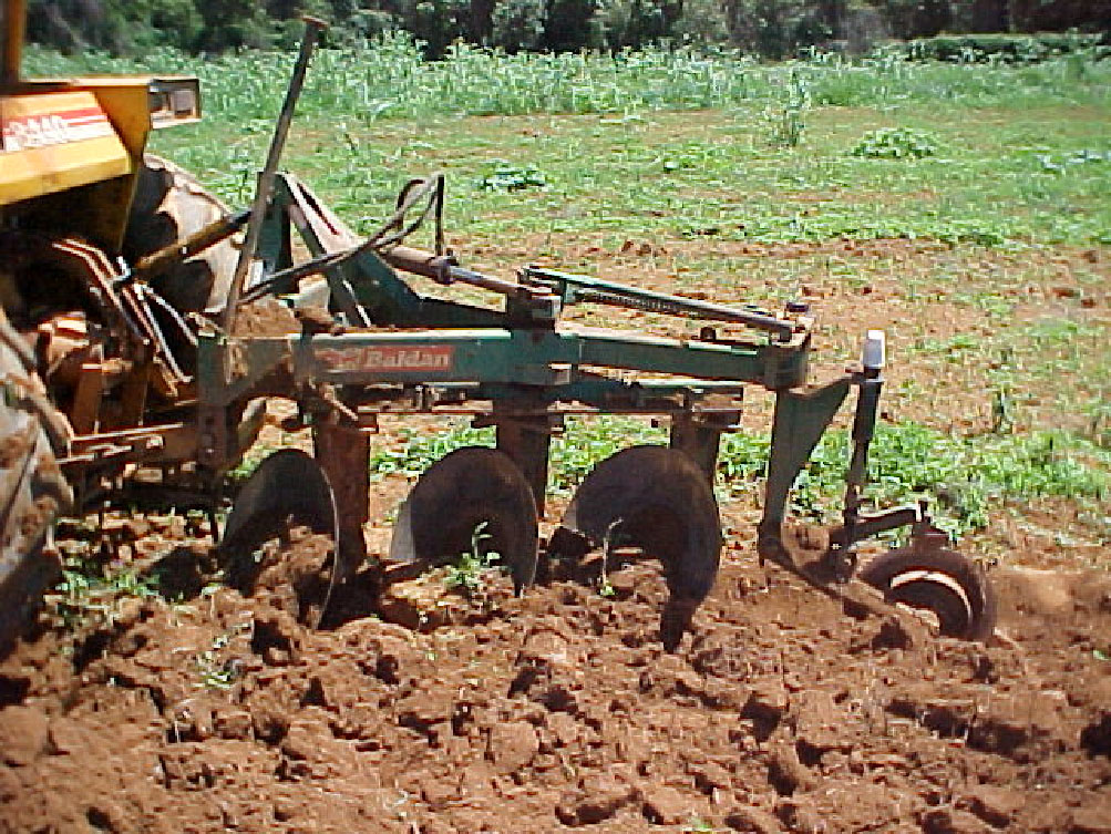 Aração para o plantio de pimenta.