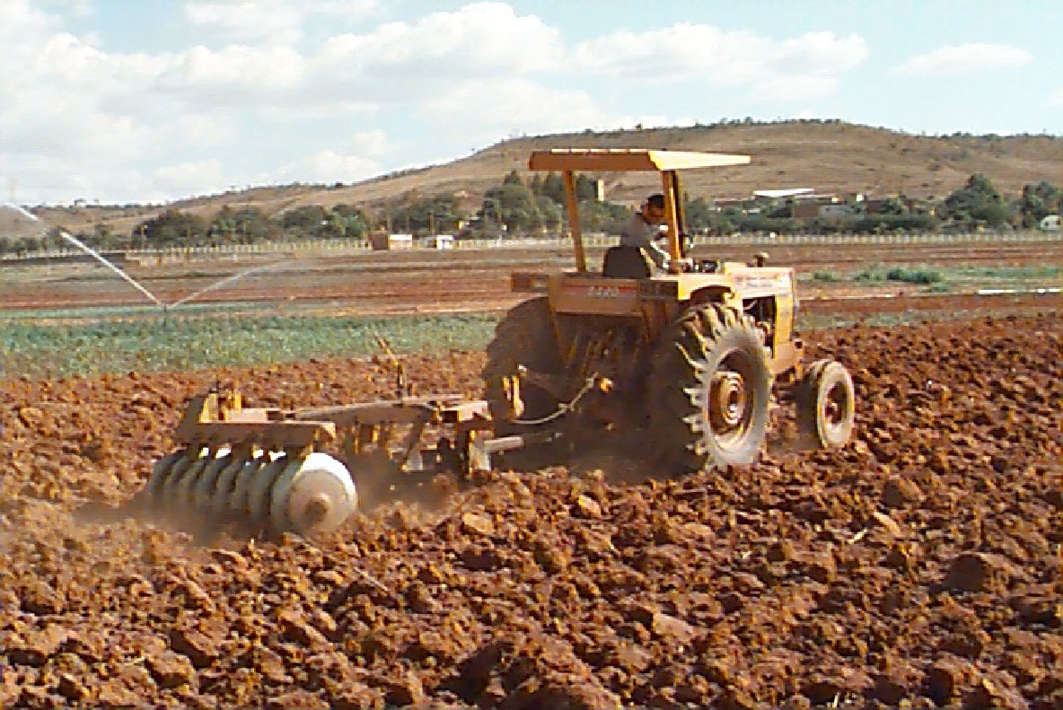 Gradagem para o plantio de pimenta