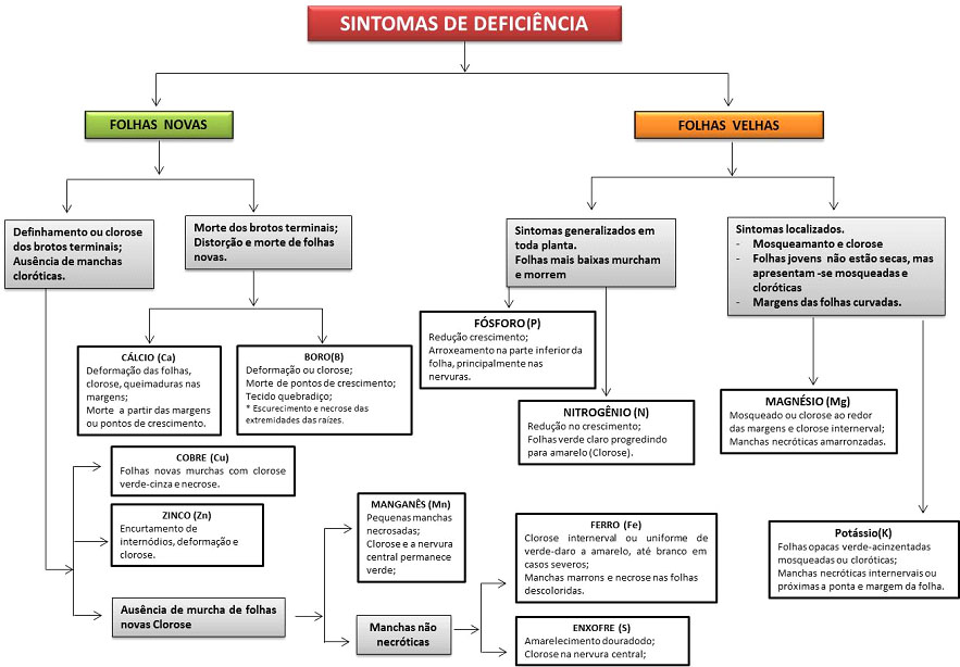 Fluxograma diagnóstico para identificação de deficiências comuns de nutrientes.