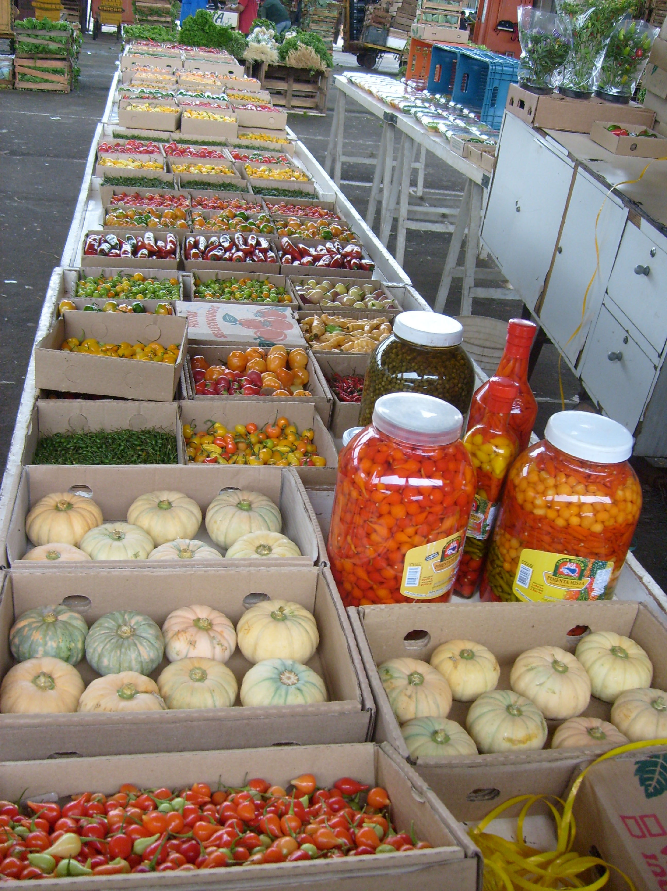 Comercialização de pimenta no mercado CEAGESP