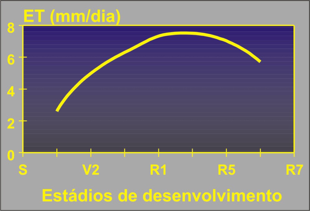 Evapotranspiração