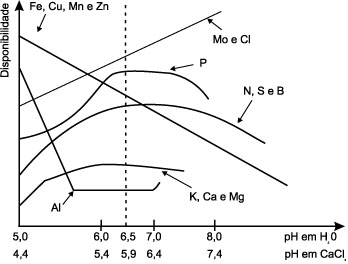 Relação entre o pH e a disponibilidade dos elementos no solo