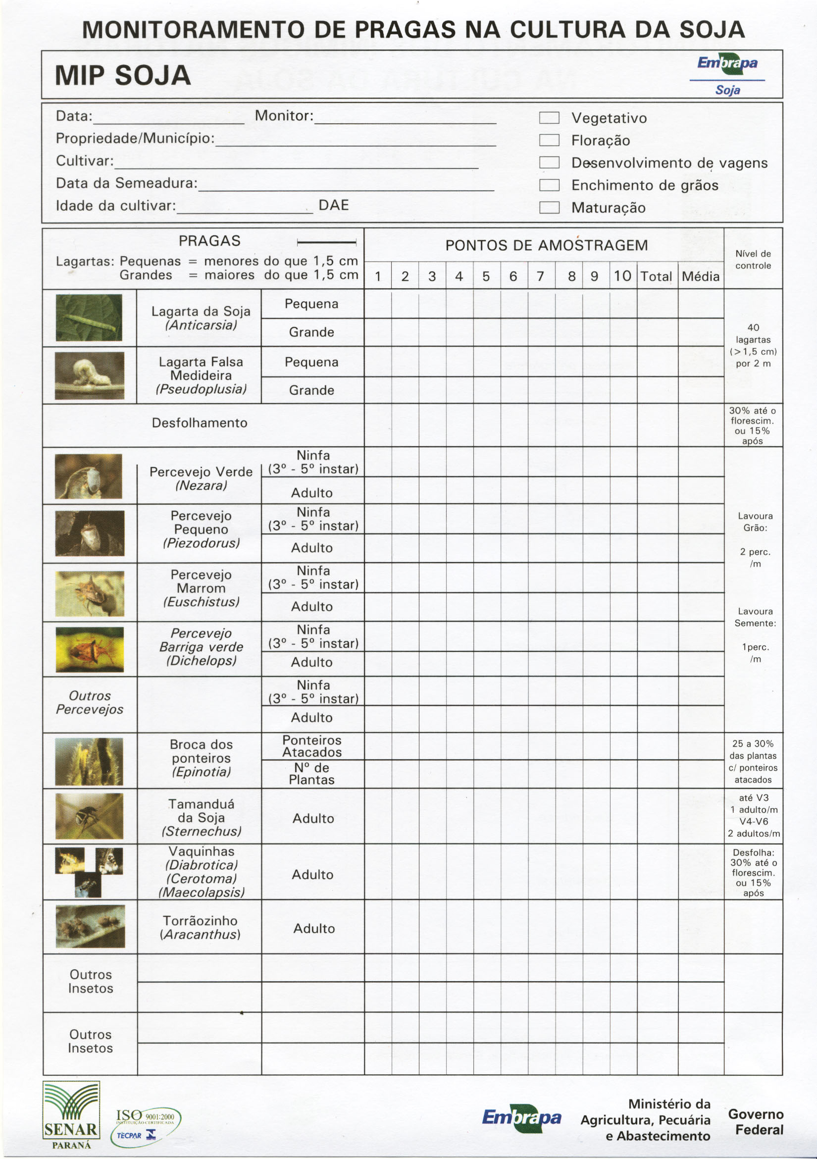 Ficha de monitoramento