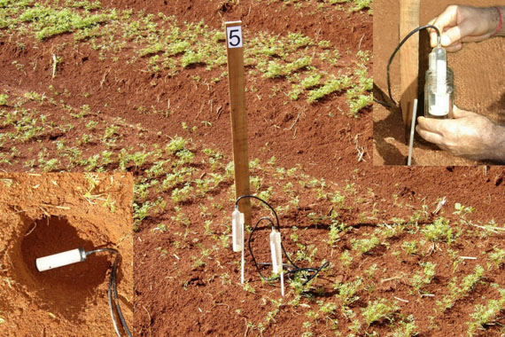 Sensores Irrigas® para manejo da água de irrigação, com detalhes de instalação e leitura.