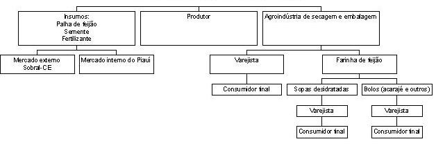 cadeia produtiva do feijão-caupi