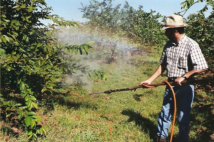 Pulverização de agrotóxicos