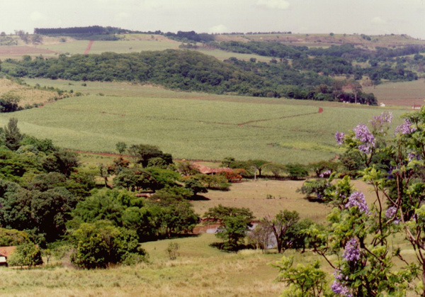 Gestão ambiental