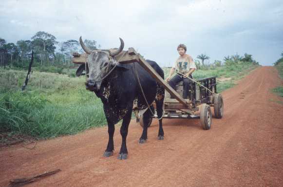 Transporte secundário