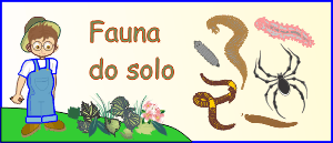 Fauna do solo