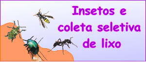 Insetos