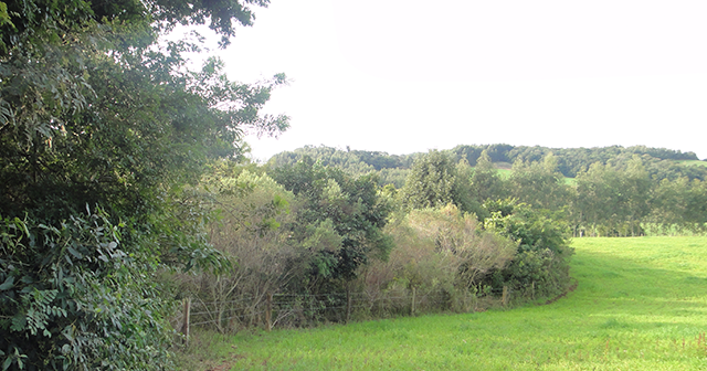 Preservação Rural