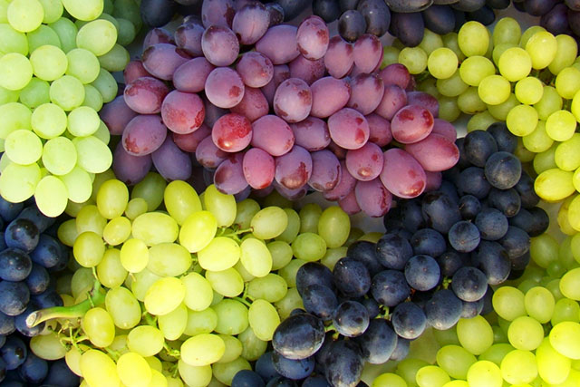 Uvas da Embrapa