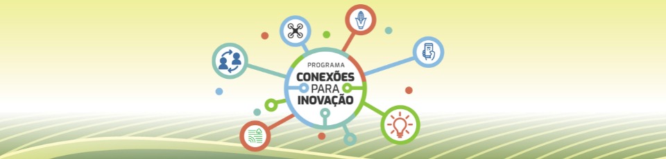 Conexões para Inovação