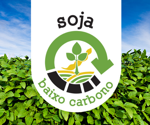 Soja Baixo Carbono