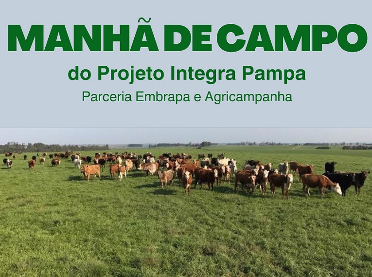 Manhã de Campo apresenta pesquisas de integração lavoura, pecuária e floresta para o bioma Pampa