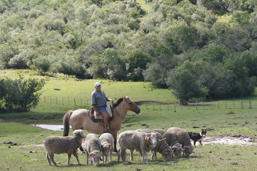 Sant’Ana do Livramento sedia 4º Seminário Técnico Internacional Pecuária Familiar e Desenvolvimento Rural