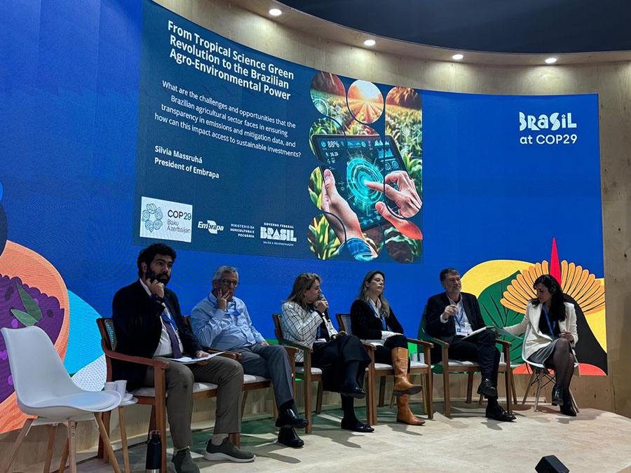 Respeito aos riscos climáticos em sistemas agroalimentares sintetiza a posição brasileira na COP 29