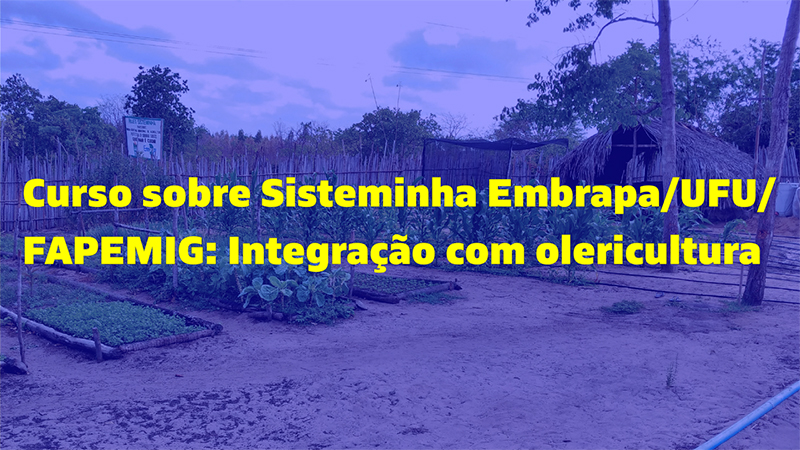 Curso - Sisteminha Embrapa/ UFU/ FAPEMIG: Integração com olericultura