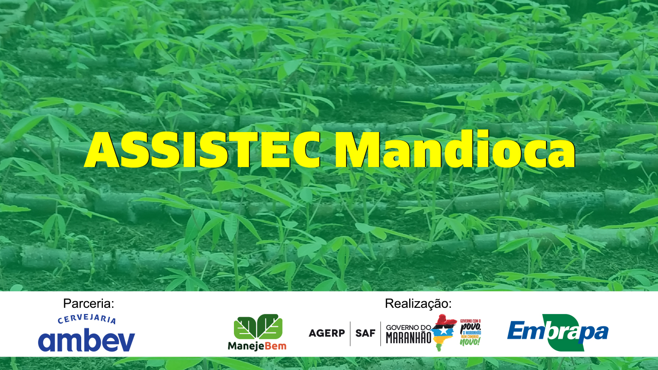 Assistec Mandioca – Ciclo de capacitações virtual