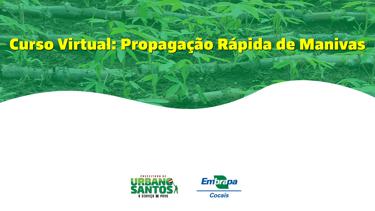 Curso Virtual: Propagação Rápida de Manivas