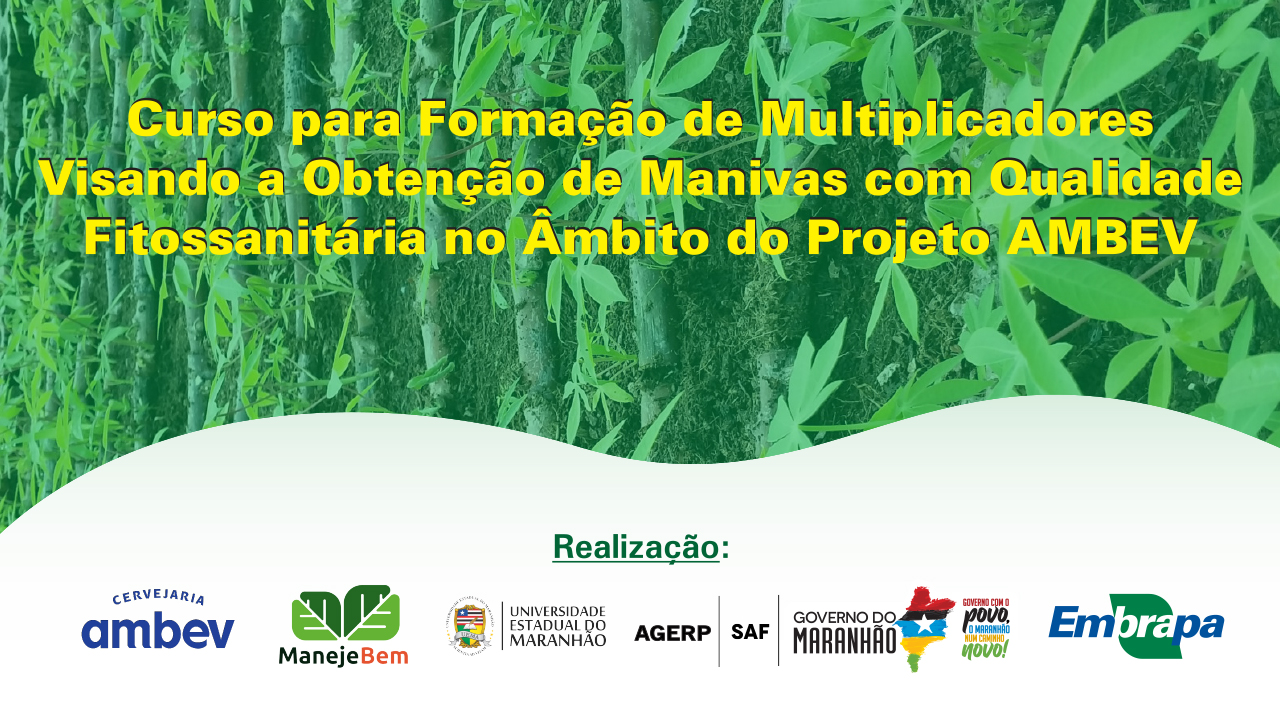 Curso para Formação de Multiplicadores Visando a Obtenção de Manivas com Qualidade Fitossanitária no Âmbito do Projeto AMBEV