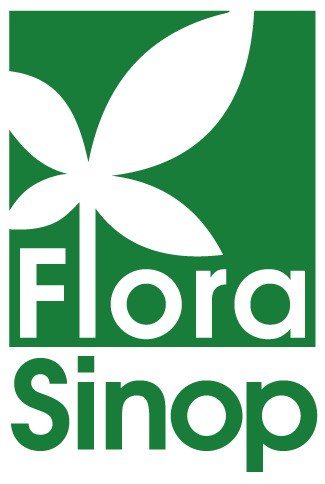 Flora Sinop LTDA